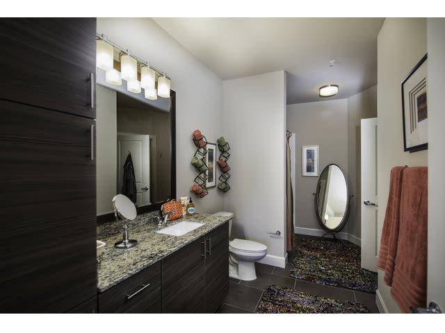 Beacon430_LuxuryApartmentCommunity_Bathroom_StPetersburgFL